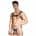 Zado Leather Chest Harness