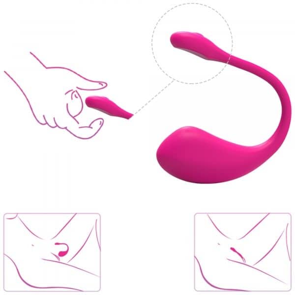 Lovense Vibrator