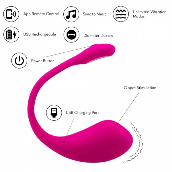 Lovense Vibrator