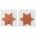 Nipple Sticker Star Copper