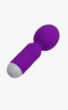 Vibrators Satisfaction Mini Wand