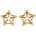 Bad Kitty Nipple Jewellery Golden Flower