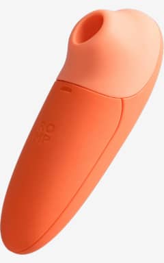 Vibrators Romp - Switch X