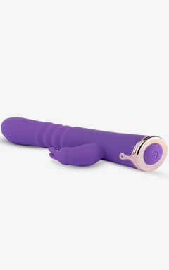 Vibrators Royals The Queen Thrusting Rabbit 
