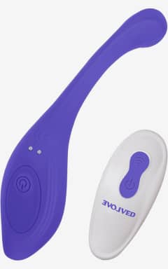 Vibrators Evolved Anywhere Vibe