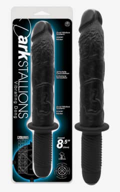 All Dark Stallions Black