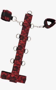 BDSM Collar Red