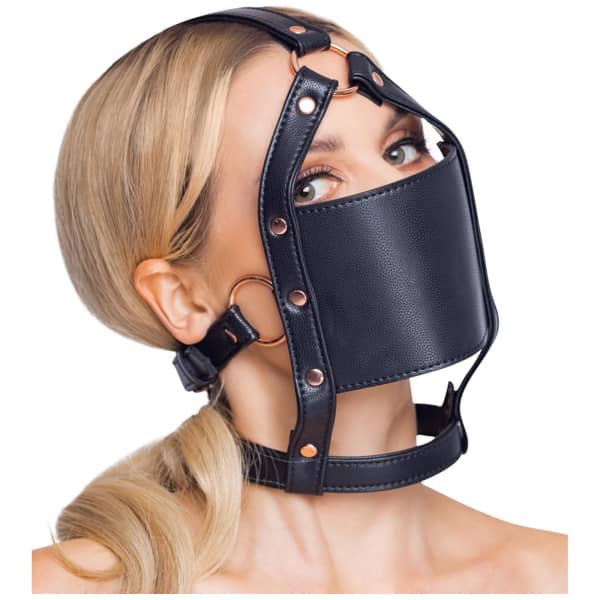 Head Harness With A Gag