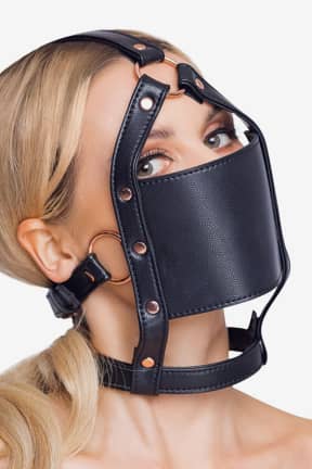 All Head Harness With A Gag