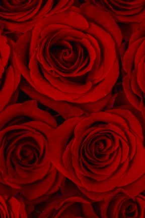 All First Valentines Kit
