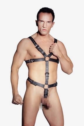 Bondage Zado Leather Harness For Men Black S-L
