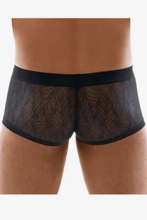 Lingerie Svenjoyment Lace Pants For Men Black - Sexy for men