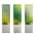 BodyGliss – Massage Oil And Lubricant In 1 - Minty Mojito - 150 ml