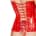 Black Level - Vinyl Corset - Red - L