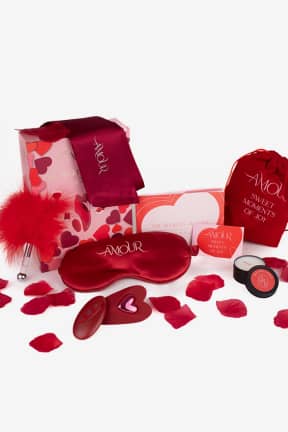 Vibrators Dreamtoys - Amour - The Secrets Of Love Panty Play Kit